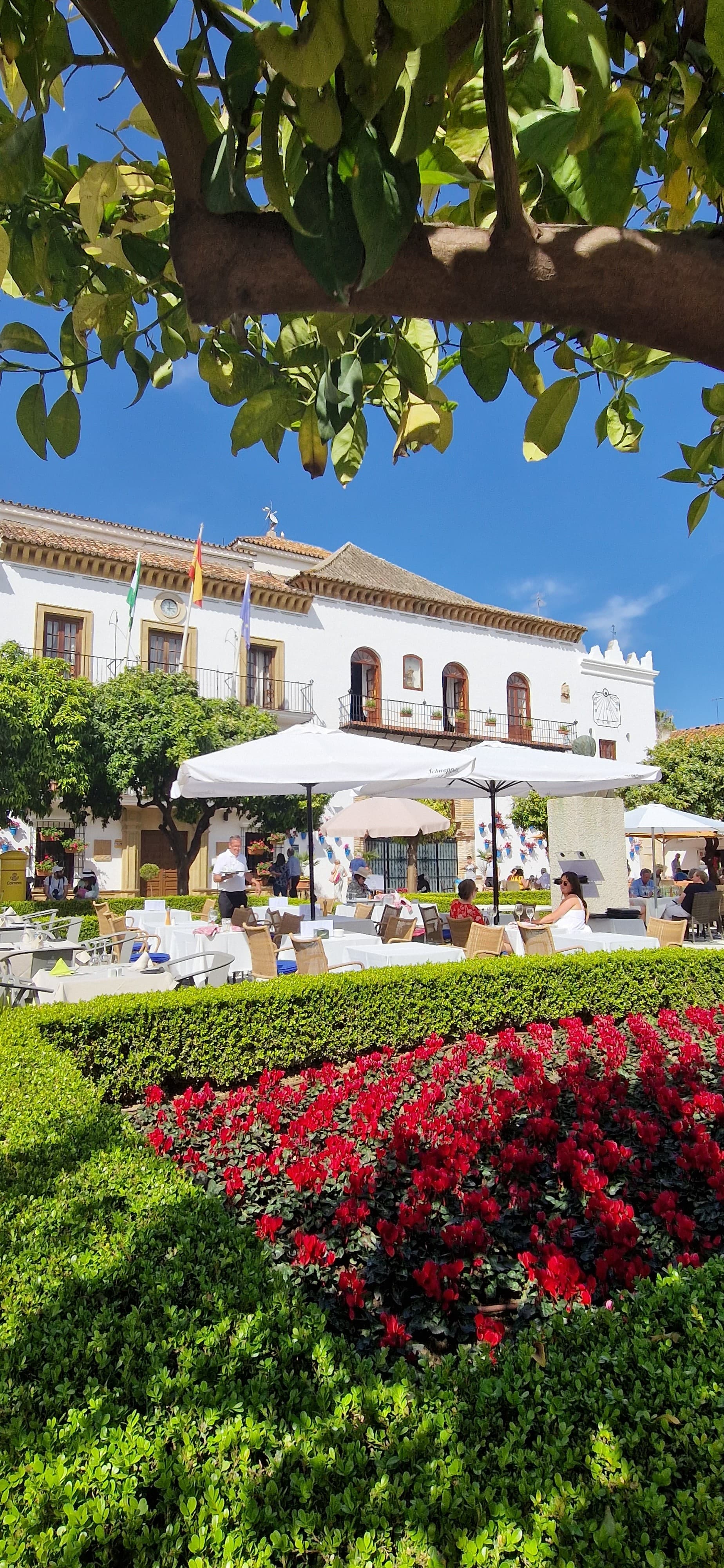 Plaza de los Naranjos in Marbella's old town with white café umbrellas and an Andalusian townhouse behind